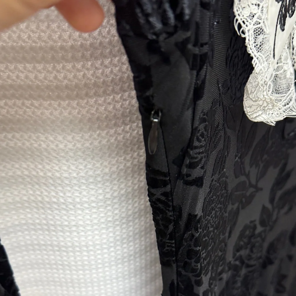 Jawbreaker Black Floral Lace Long Sleeve Velvet Devour Dress NWT - Picture 9 of 11